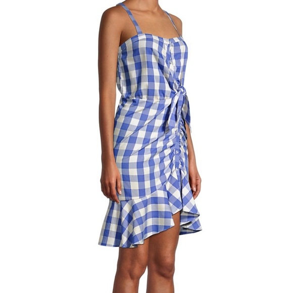 Likely Gingham Blue Mini Dress - Picture 12 of 13